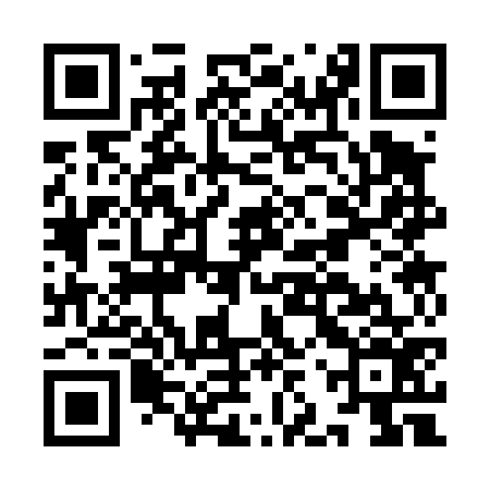 QR code for IJS476