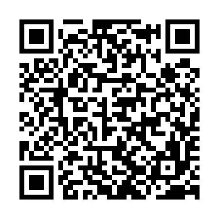 QR code for IJS596