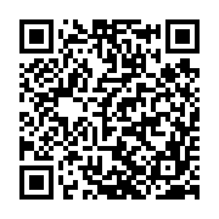 QR code for IJS656