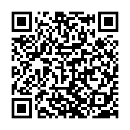 QR code for IJS819