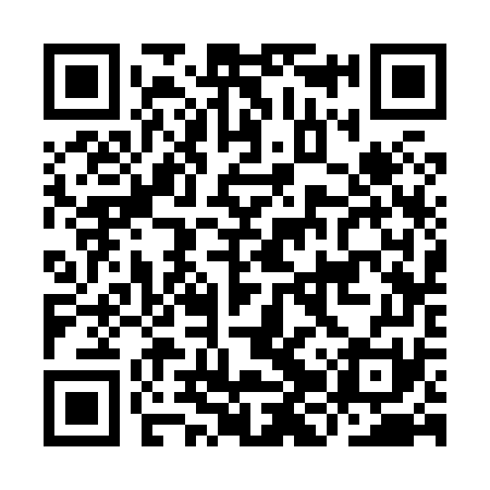 QR code for IJS871