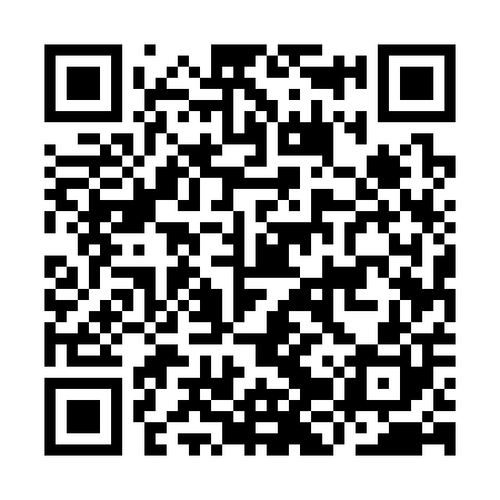QR code for IJU300