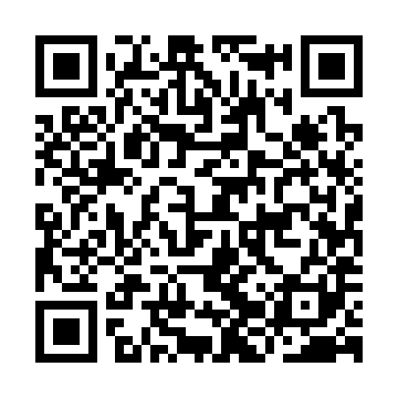 QR code for IJU381