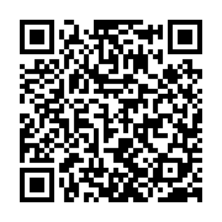 QR code for IJV249