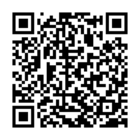 QR code for IJV258