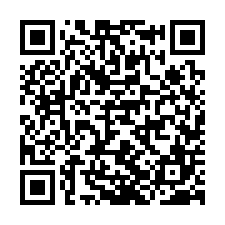 QR code for IJV306