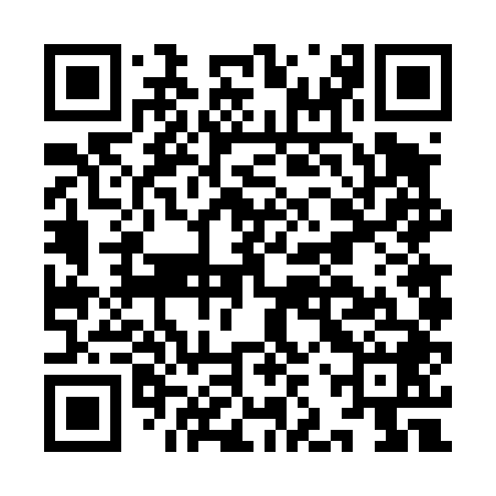 QR code for IJV448