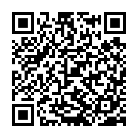 QR code for IJV665