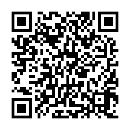 QR code for IJV918