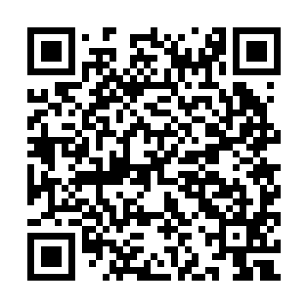 QR code for IJW295