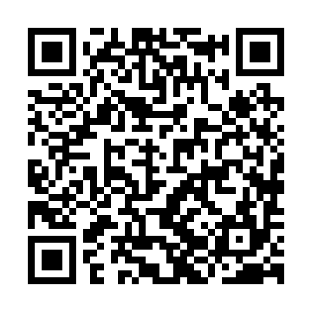 QR code for IJX294