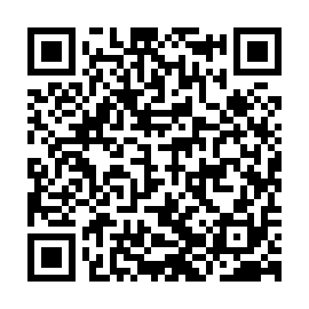 QR code for IJY810