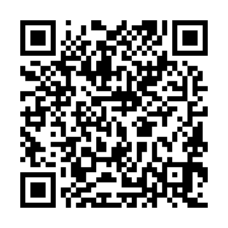 QR code for ILE991