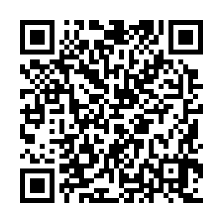 QR code for ILI387