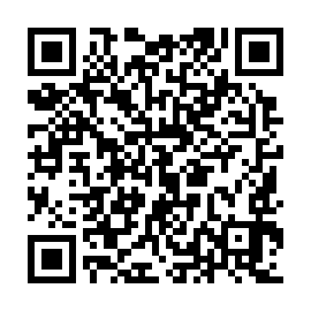 QR code for ILI393