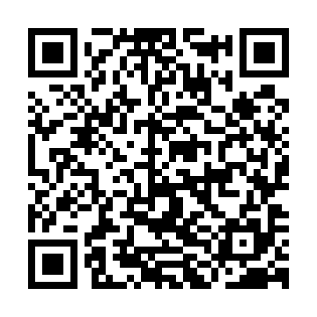 QR code for ILO595