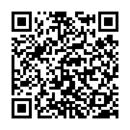 QR code for ILO629