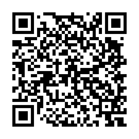 QR code for ILU493