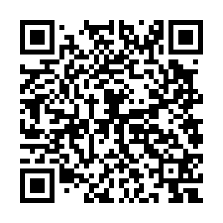 QR code for ILV020