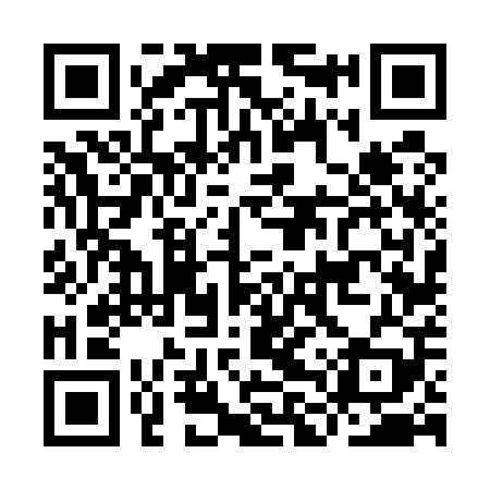 QR code for ILV509