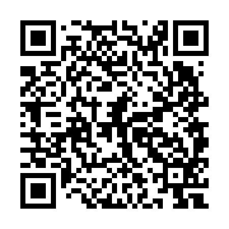 QR code for ILV696