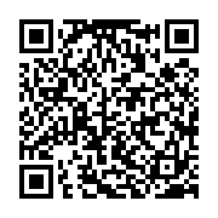 QR code for ILX533