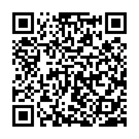 QR code for IMD538