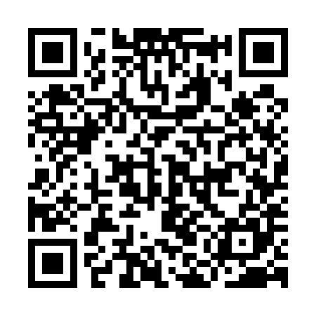 QR code for IMG585