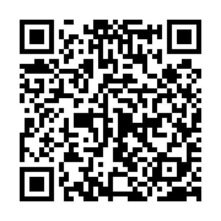 QR code for IMG599