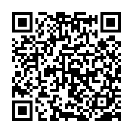 QR code for IMM541