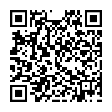 QR code for IMN225
