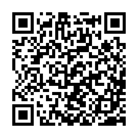 QR code for IMP383