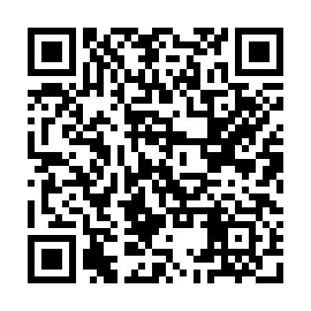 QR code for IMX383
