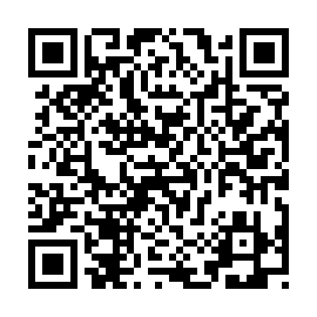 QR code for IMX539