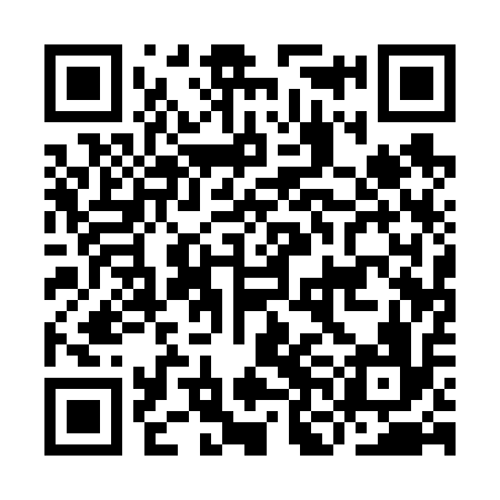QR code for INA616