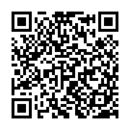 QR code for INI041