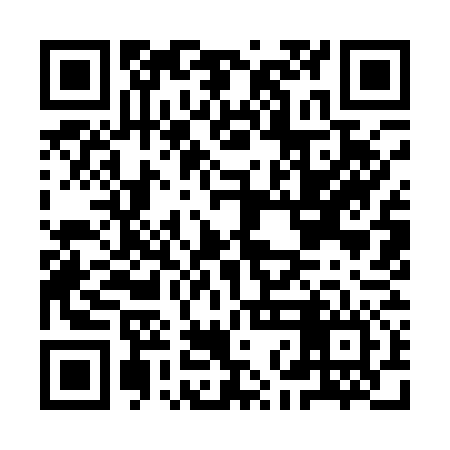 QR code for INI176
