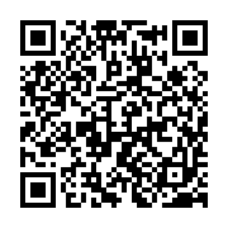 QR code for INI193