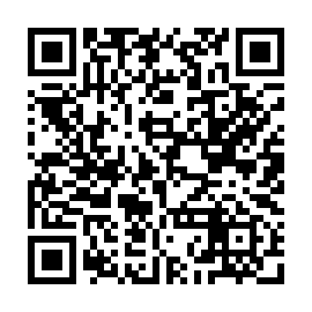 QR code for INI199