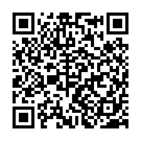 QR code for INI210