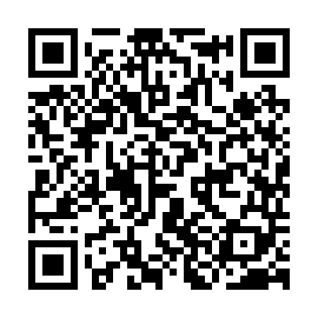 QR code for INI249