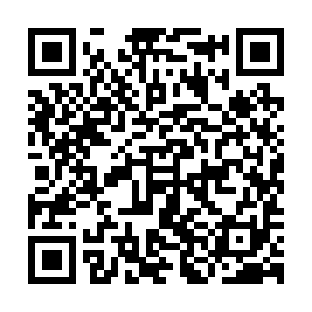 QR code for INI291