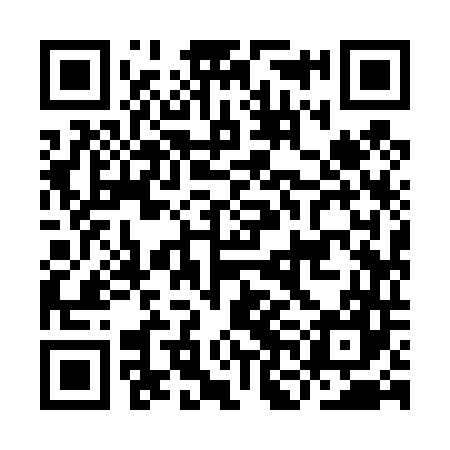 QR code for INI447