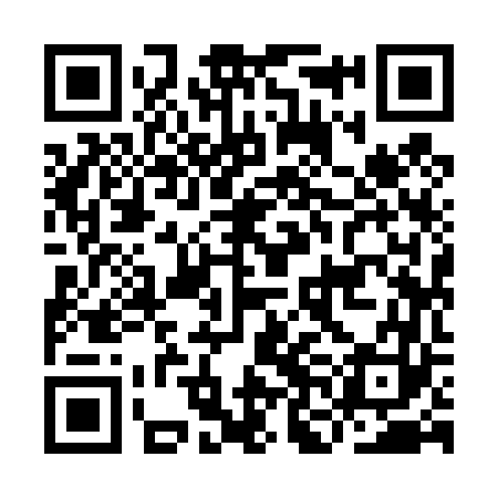 QR code for INI463