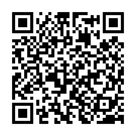 QR code for INI479