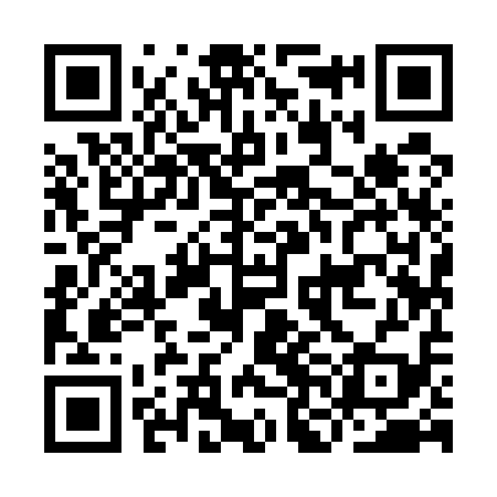 QR code for INI519