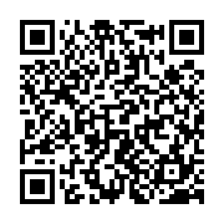 QR code for INI534