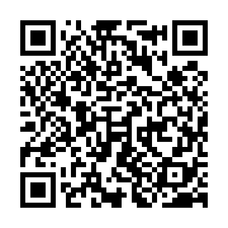 QR code for INI578