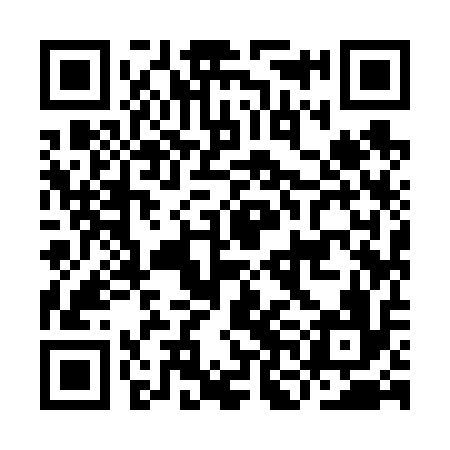 QR code for INI616