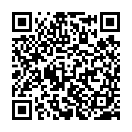 QR code for INI641